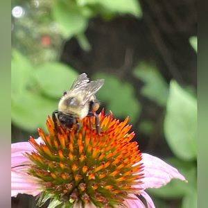 Meet your Posher, Vicky